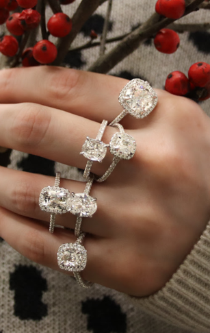 Fine Rings